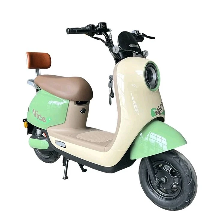 48V/60V 800W Electric Scooter factory