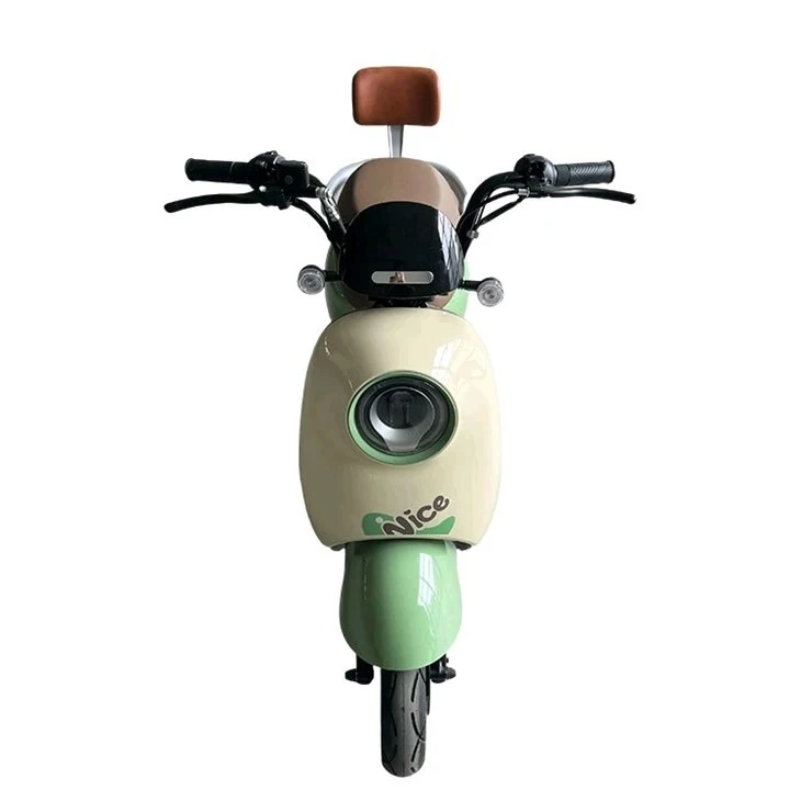 48V/60V 800W Electric Scooter suppliers